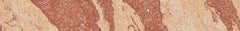 Hourglass Ambient Strobe Lighting Blush- Brilliant Nude