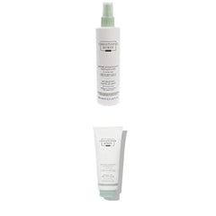 Christophe Robin Hydrating Leave-In Mist 5 fl. oz + Christophe Robin Hydrating Melting Mask With Aloe Vera for Dry, Dull Hair - Lighweight 6.7 fl. oz