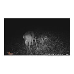 Wildgame Innovations Terra Extreme Megapixel IR Trail Camera
