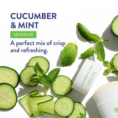 Native (Mint & Cucumber) - Sensitive Deodorant Natural Deodorant for Women and Men, Aluminium Free, Baking Soda Free, Phthalate Free, Talc Free, Coconut Oil and Shea Butter Cucumber & Mint (Sensitive)