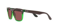 Ray-Ban Rb4487 Steve Square Sunglasses