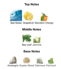 VICTORY Perfume for MEN, eau de parfum, 100ml 3.4 fl.oz, Invictus Perfume Fragrance, Long Lasting