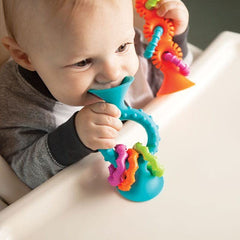 Fat Brain Toys Pipsquigz Loops – Teal, Vibrant Silicone Suction Cup Toy for Babies, Sensory Exploration, Fine Motor Skills Development, Rattling Sounds, and Soothing Gum Relief