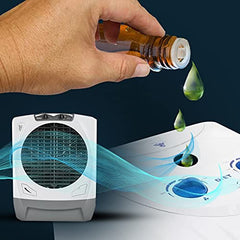 Devinez Camphor and Sandalwood Cooler Perfume, 60ml Each (Multicolour)