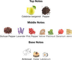 SUAVELY PERFUME 100ml 3.4 Fl.oz, Perfume For Men Sauve Fragrance, Long Lasting Fragrance