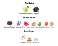 SUAVELY PERFUME 100ml 3.4 Fl.oz, Perfume For Men Sauve Fragrance, Long Lasting Fragrance