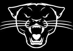 Tru Fragrance & Beauty Sex Panther Cologne Spray for Men. Clean, Sensual, and Refreshing Juniper and Lavender Musk. Not Made with Bits of Real Panther.