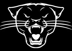 Tru Fragrance & Beauty Sex Panther Cologne Spray for Men. Clean, Sensual, and Refreshing Juniper and Lavender Musk. Not Made with Bits of Real Panther.