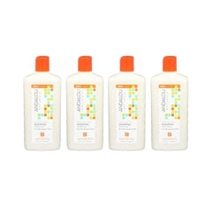 Andalou Naturals Shampoo Mstre Argan Swt Orng, Pack of 4