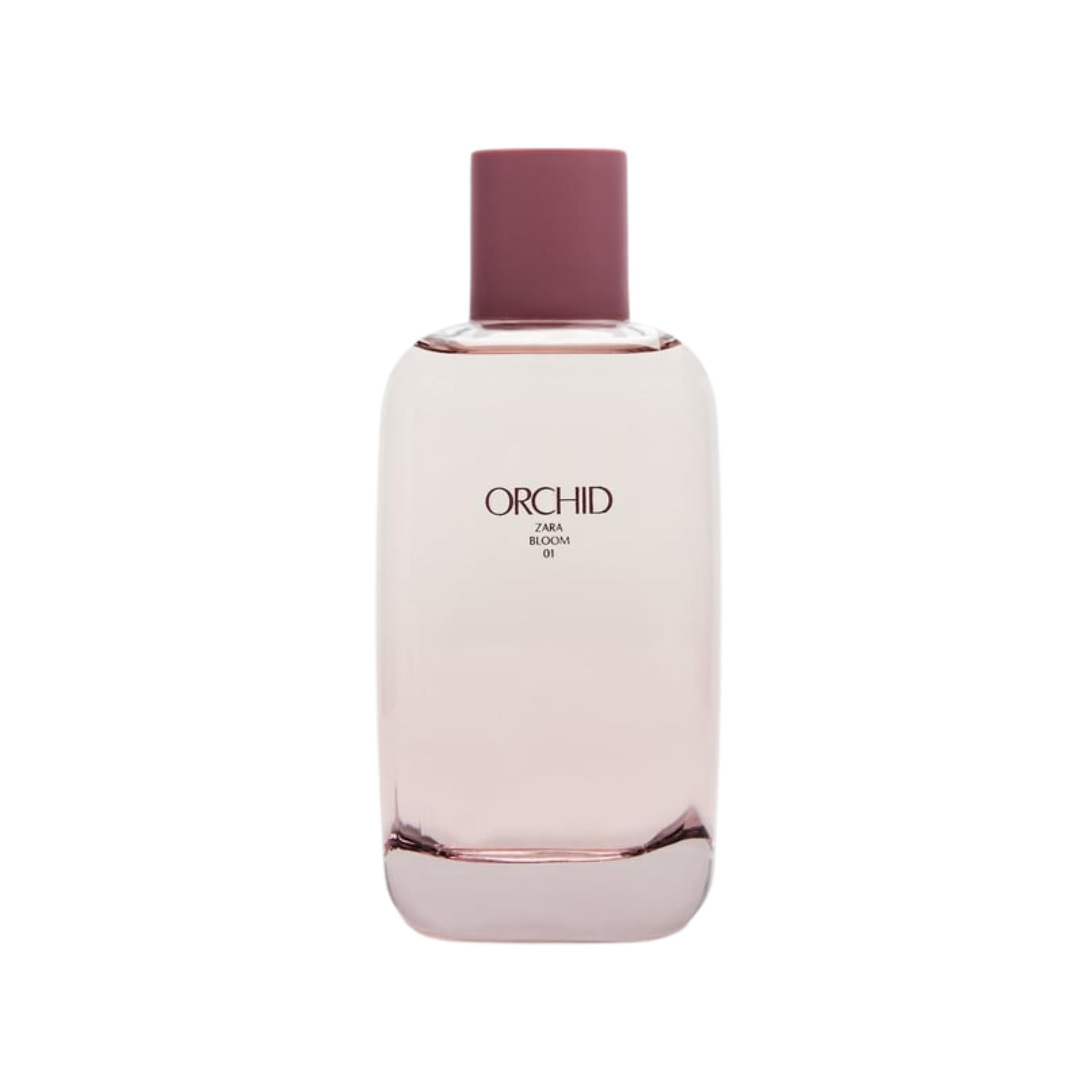 Zara Perfume New Collection Zara Orchid Eau De Parfum 180 Ml