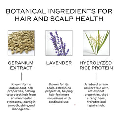 ZENAGEN Volume Foam | Lightweight Densifier + Volumizer, Boosts Hair Volume & Thickness, Provides Lightweight Hold, Nourishes & Strengthens Hair, Non-Greasy Plant-Based, Vegan, All Hair Types, 1.7 oz