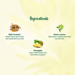 Biotique PINEAPPLE FACE WASH WITH PLANT DERIVED GLYCOLIC Oil Control For a Fresh, Clear Complexion Normal to Oily Skin-150ml