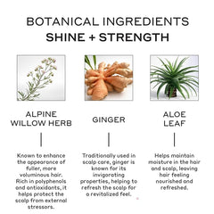 Zenagen Nourishing Conditioner – Plant‑Based, Color‑Safe Hydrating Formula for Fine & Thinning Hair