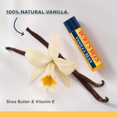 Burt's Bees 100% Natural Origin Moisturizing Lip Balm, Multipack, Original Beeswax, Cucumber Mint, Coconut & Pear and Vanilla Bean with Beeswax & Fruit Extracts, 4 Tubes