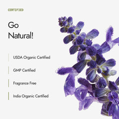 Kapiva Hair Rituals Organic Indigo Powder 100g (Pack of 2)