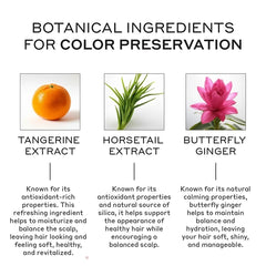 ZENAGEN Eclipse Color Preservation + Gray Support Shampoo | Enhances Hair Color Vibrancy, Reduces Gray Appearance, Nourishes & Strengthens Aging Hair, Plant-Based, Color-Safe, 473 mL / 16 oz