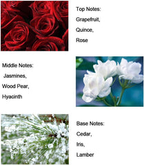 Dream Angels Wings Perfume, 50ml Pink Eau de Parfum Floral Fragrance for Women