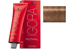 Schwarzkopf Professional Igora Royal Permanent Hair Colour - 7-65 Medium Auburn Gold Blonde by