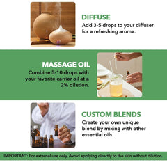 MAJESTIC PURE Tea Tree Essential Oil – Large 118 ml Bottle | 100% Pure & Natural | Premium Grade Essential Oil for Hair Care, Skin, Aromatherapy, Diffusers, Massage & Humidifiers