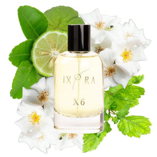 Ixora X6 Perfume: Invigorate Your Senses with a Bright and Fresh Blend of Bergamot, Jasmine, and White Musk
