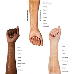 Protect & Perfect ADVANCED All in One Foundation chestnut