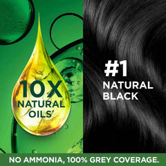 Garnier Naturals Creme Hair Color (Natural Black,70ml and 60g)
