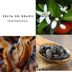 GRAND CRUS SELVA DO BRAZIL - Berdoues EDP Best Perfume for Men & Women