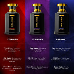Park Avenue Perfume for Men, Conquer 100ml | Eau De Parfum | Premium, Long Lasting, Intense Fragrance Spray | Suitable for every occasion | Ideal Valentines Day Gift