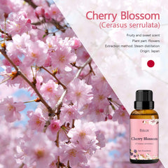 ESSLUX Cherry Blossom Essential Oil, ESSLUX Aromatherapy Oils for Diffuser, Massage, Soap, Candle Making, Perfume, 30 ml