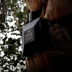 SOFT TOUCH Royal Black Eau De Perfume Aromatic Fragrance for Men UAE Perfumes 100ML