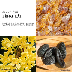 PÉNG LÁI-Berdoues EDP Best Perfume for Women
