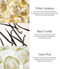 VICTORIA'S SECRET Tease Perfume For Women, 100 ml