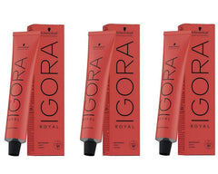 Schwarzkopf Igora Royal Hair Color 8-0 Set, 3 x 60 ml