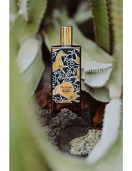 Irish Leather By Memo For Unisex - Eau De Parfum, 75 Ml