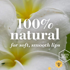 Burt's Bees 100% Natural Lip Balm, Wild Cherry and Vanilla Bean Blister Box, 0.3 Ounce, 2 Count