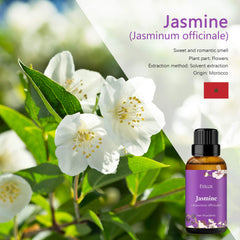ESSLUX Jasmine Essential Oil, ESSLUX Aromatherapy Oils for Diffuser, Massage, Soap, Candle Making, Perfume, 30 ml
