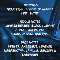 Flavia Perfumes Elite Eau De Parfume 100ml For Him, Perfume for men, Fragrances