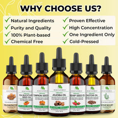 Jeune Naturelle Jojoba Oil Organic Cold Pressed - 100% Pure, Raw, Virgin, Undiluted, Unrefined - Ideal for Hair, for Skin, for Hair Growth, 2 oz