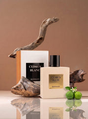 Rayhaan Cedrus Blanc Eau de Parfum, 100 ml | Cedar Scent, Unisex Fragrance, Gold Accent Bottle, Arabic Perfumery, Long-Lasting Wear