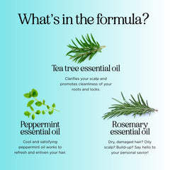 Tea Tree Oil Shampoo for Men Women Teens with Itchy Dandruff and Dry Skin Sulfate Free Natural Anti Dandruff Shampoo Safe for Color Treated Hair with Rosemary Lavender Jojoba and Argan Oils (16 oz)