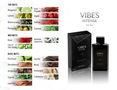 LOUIS VAREL, VIBES INTENSE MEN 100 ML