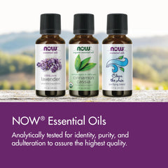 NOW Solutions EUcalyptus Oil 1 Oz 100% Pure