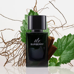 Burberry Perfume - Mr. Burberry by Burberry - perfume for men - Eau De Parfum, 50 ML