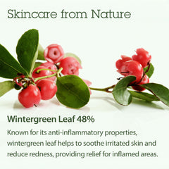 Blithe Vital Treatment 6 Calming Leaves, 54 ml - Korean Skincare, Hydrating Essence, Revitalizing and Moistruising, K Beauty, Improving Skin Radiance, for All Skin Types