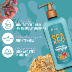 Mielle Organics Sea Moss Anti-Shedding Conditioner 8oz
