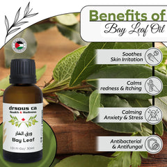 Drsous Ca Organic Bay Leaf Oil 30ml | 100% Pure Cold Pressed Essential Therapeutic Grade Oil for Hair Growth, Ache Free Body and Muscle Massage | Made in Palestine