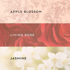 Lollia In Love Eau De Parfum | Jasmine, Apple Blossom, Rose Classic Petal Perfume Spray 3.4 oz