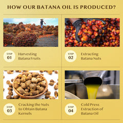 Raw Batana Oil for Hair Growth: Dr Sebi Organic Batana Oil from Honduras - 100% Pure & Natural - Promotes Thicker & Stronger Hair for Men & Women (4.2 OZ)