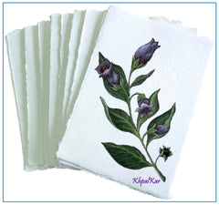 KhpalKar Handmade Deckle Edge Cotton Paper 20 Sheets A4 Size 300 GSM White Color 100% Cotton Ecologically for Greetings Cards Invitions Calligraphy Wedding Stationery and Painting