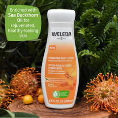 Weleda Organic Sea Buckthorn Body Lotion - Bio-Natural Cosmetics Body Lotion provides intensive moisture for up to 48 hours for rapid care of dry skin (1 x 200ml)